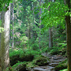 Forêt bavaroise - Bodenmais - Riesloch