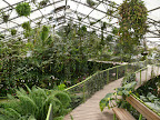 p1300355080(3).jpg