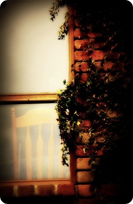 vines2 vines2