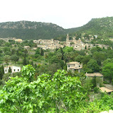 Palma