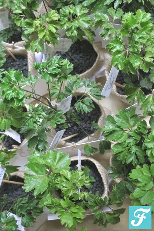 [10%255B10%255D.jpg]