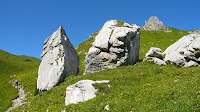 P1100872.JPG