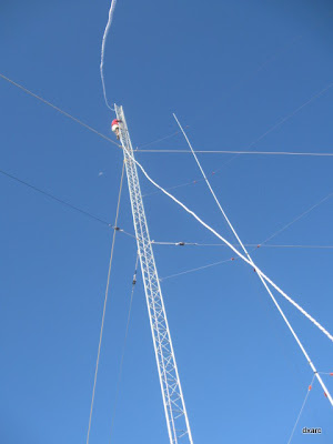 muy-11.jpg