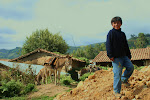 Cumbayo, Peru