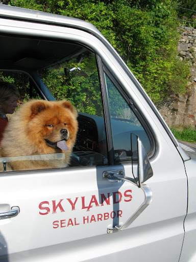I was being whisked away by Martha in the Skylands van.