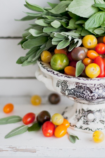 [Tomato-galette32.jpg]