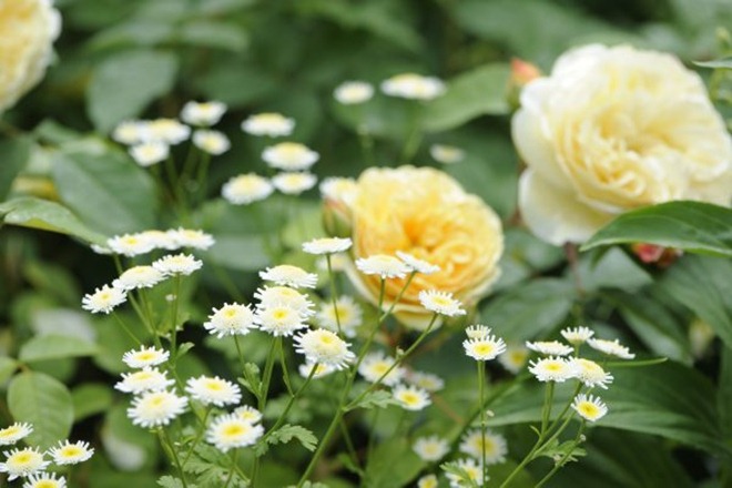 claus20100704_102805