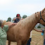 IMG_3980.JPG