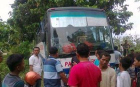 bus-pahala-kencana-masuk-hutan-bersama-truk-semen-beton-jaya-mix-di-blora-jateng