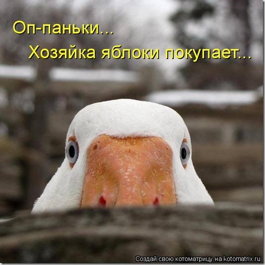 1096494 1096494