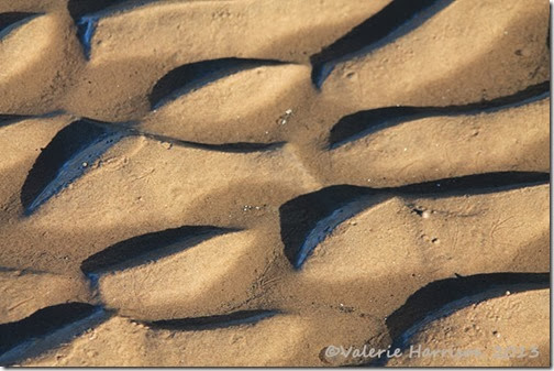 35-sand-patterns