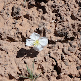 DSC00047.JPG