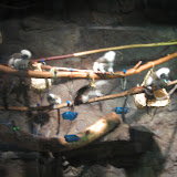 IMG_1806.jpg