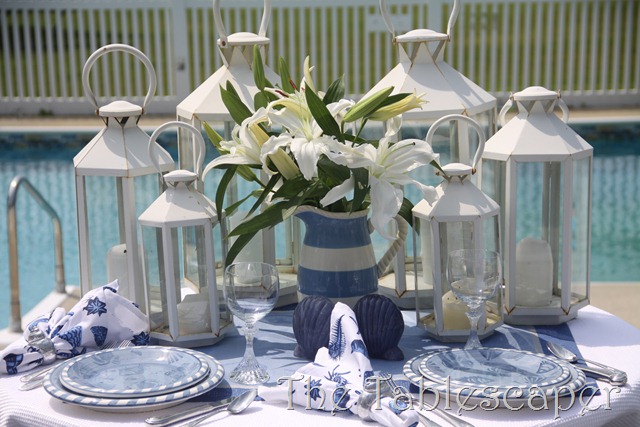 [Nantucket-Blues-01210.jpg]
