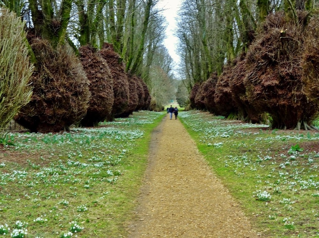 [DSC01178%2520%25281300x973%2529%255B4%255D.jpg]