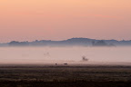 Sonnenaufgang im Teufelsmoor (Postwiesen)