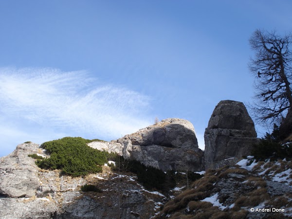DSC00124.jpg