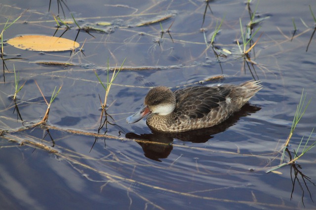 [IMG_0662%255B2%255D.jpg]