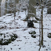 IMG_2316.JPG