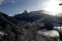 IMG_9194.JPG Photo