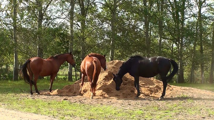 [20140911110402-%25282%2529%255B2%255D.jpg]