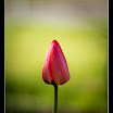 IMG_3287.jpg