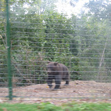 A smaller guy... terrible photo.