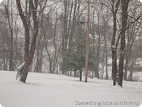 snow 2013 and random pics 001