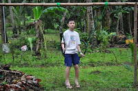 pinoyecofarm january _0153.jpg pinoyecofarm january _0153.jpg