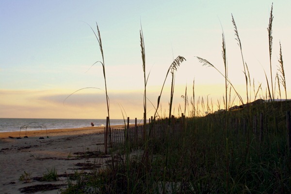 Beach Trip part 4 100-001 Beach Trip part 4 100-001
