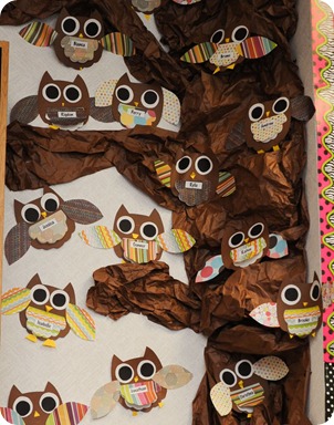 owl1 owl1