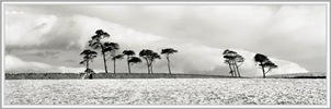  Winter in Weardale. Brian Wilcockson