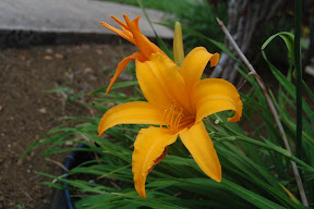 DSC_0186.JPG