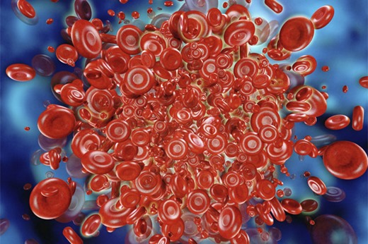 [clip_image001%255B3%255D.jpg]