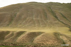 Ridge with folds