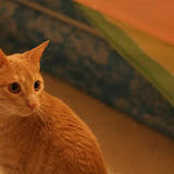 IMG_5642.JPG