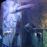 IMG_4735.JPG