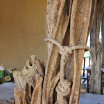 DSC_0962 - Copie.JPG