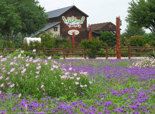[Wildseed-Farms3.jpg]