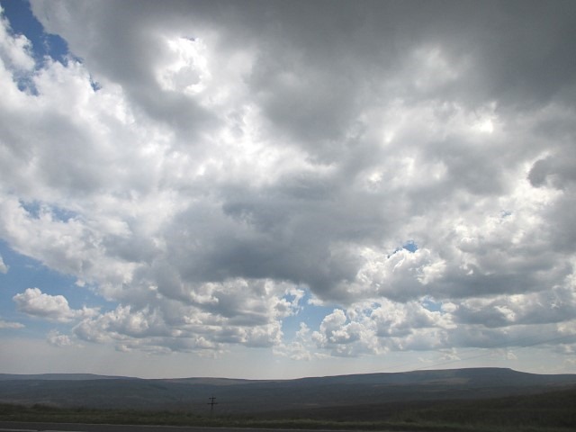 20140725 (3) (Small) 20140725 (3) (Small)
