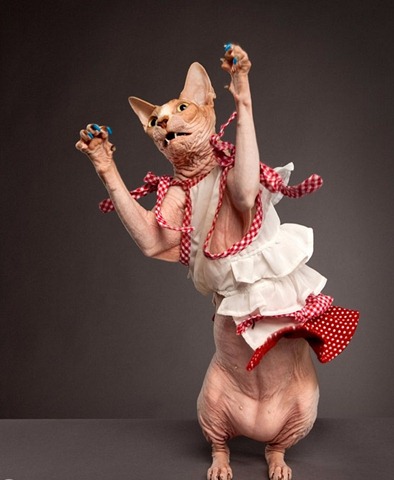 [CDavidson-Pet9-thumb-556x678-30428%255B4%255D.jpg]