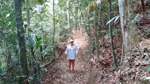 [trilha018.jpg]