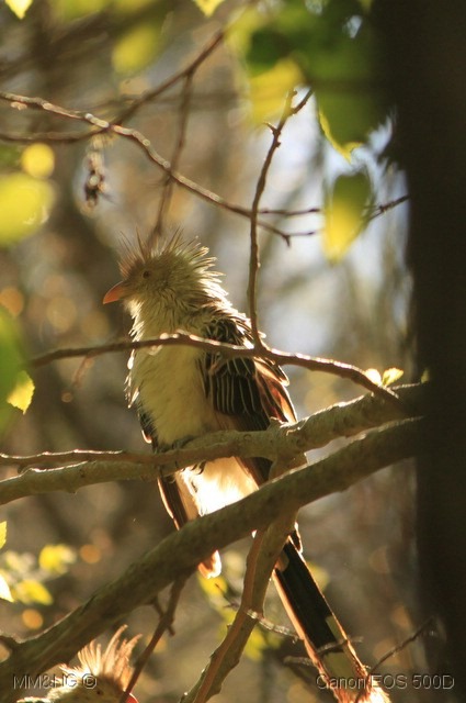 [IMG_0861%255B2%255D.jpg]