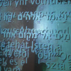 CIMG5165.JPG
