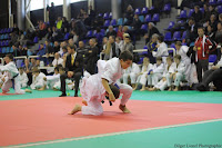 IMG_2176.jpg