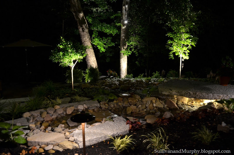 sycamores at night, streambed