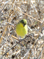 DSC_7697.jpg