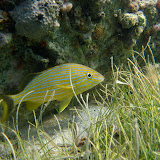 IMG_1610.JPG