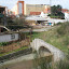 P1010597.JPG