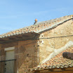 IMGP2279.JPG